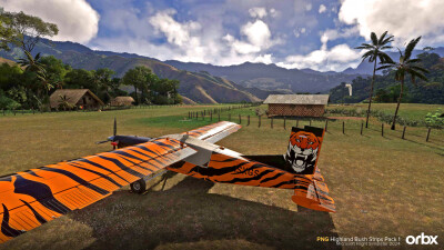 PNG Highland Bush Strips Pack 1 - Microsoft Flight Simulator 2024 screenshot