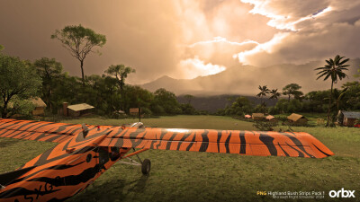 PNG Highland Bush Strips Pack 1 - Microsoft Flight Simulator 2024 screenshot