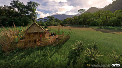 PNG Highland Bush Strips Pack 1 - Microsoft Flight Simulator 2024 screenshot