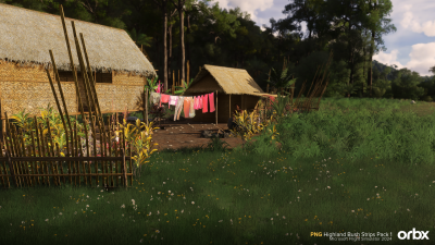 PNG Highland Bush Strips Pack 1 - Microsoft Flight Simulator 2024 screenshot