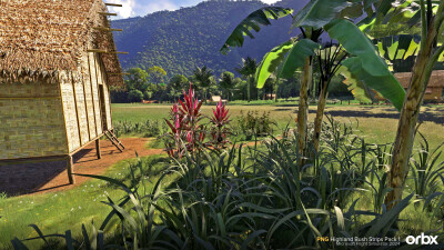 PNG Highland Bush Strips Pack 1 - Microsoft Flight Simulator 2024 screenshot