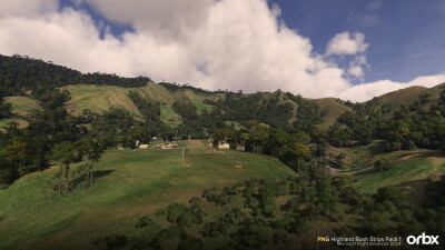 PNG Highland Bush Strips Pack 1 - Microsoft Flight Simulator 2024 screenshot