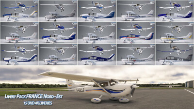 France VFR Livery Pack France North-East - Microsoft Flight Simulator screenshot