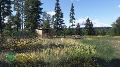 RNCS Chunilna Cabin Strip - Microsoft Flight Simulator 2024 screenshot