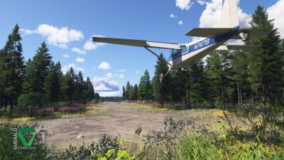 RNCS Chunilna Cabin Strip - Microsoft Flight Simulator 2024 screenshot