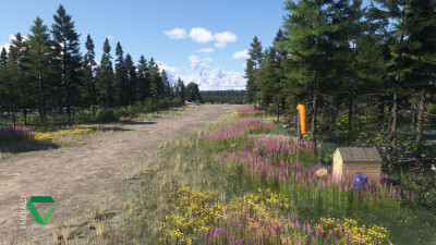 RNCS Chunilna Cabin Strip - Microsoft Flight Simulator 2024 screenshot