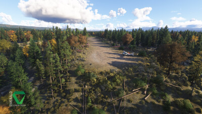 RNCS Chunilna Cabin Strip - Microsoft Flight Simulator 2024 screenshot