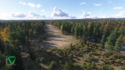 RNCS Chunilna Cabin Strip - Microsoft Flight Simulator 2024 screenshot