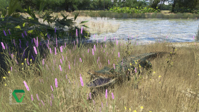 67FL Bald Eagle Airfield - Myakka Head - Microsoft Flight Simulator 2024 screenshot
