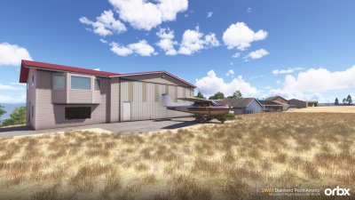 2WA1 Diamond Point Airstrip - Microsoft Flight Simulator 2024 screenshot