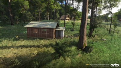 PNG Highland Bush Strips Pack 4 - Microsoft Flight Simulator 2024 screenshot