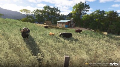 PNG Highland Bush Strips Pack 4 - Microsoft Flight Simulator 2024 screenshot