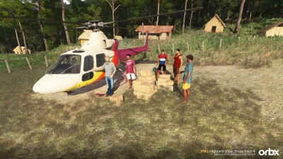 PNG Highland Bush Strips Pack 4 - Microsoft Flight Simulator 2024 screenshot