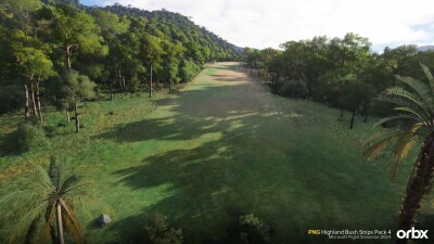 PNG Highland Bush Strips Pack 4 - Microsoft Flight Simulator 2024 screenshot