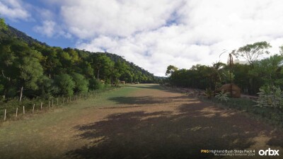 PNG Highland Bush Strips Pack 4 - Microsoft Flight Simulator 2024 screenshot