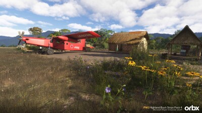 PNG Highland Bush Strips Pack 4 - Microsoft Flight Simulator 2024 screenshot