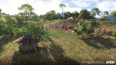 PNG Highland Bush Strips Pack 4 - Microsoft Flight Simulator 2024 screenshot