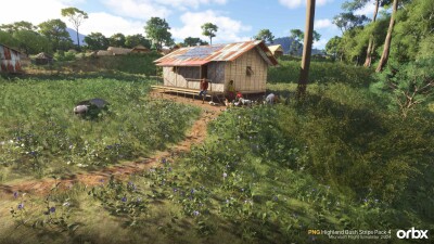 PNG Highland Bush Strips Pack 4 - Microsoft Flight Simulator 2024 screenshot
