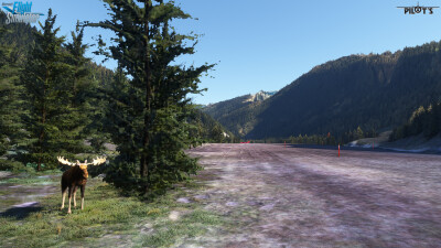 CBH4 Prairie Creek Airport - Microsoft Flight Simulator screenshot