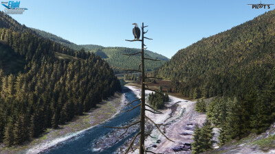 CBH4 Prairie Creek Airport - Microsoft Flight Simulator screenshot