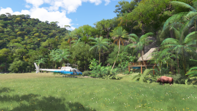 Cli4D Designs Philippines A Tropical Adventure - Microsoft Flight Simulator 2024 screenshot