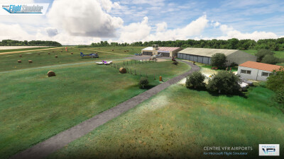 France VFR Center VFR Airports - Microsoft Flight Simulator screenshot