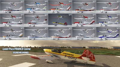 France VFR Livery Pack Centre - Microsoft Flight Simulator screenshot