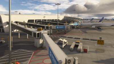 ZHCC Zhengzhou Xinzheng International Airport - Microsoft Flight Simulator 2024 screenshot