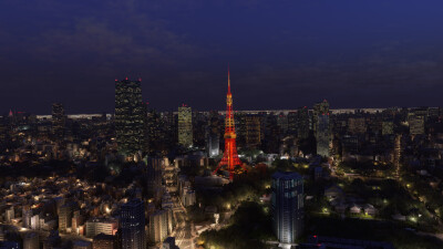 SamScene3D Tokyo City Times - Microsoft Flight Simulator screenshot