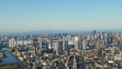 SamScene3D Tokyo City Times - Microsoft Flight Simulator screenshot