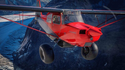 American Champion Scout (8GCBC) screenshot