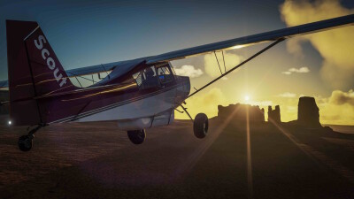American Champion Scout (8GCBC) screenshot