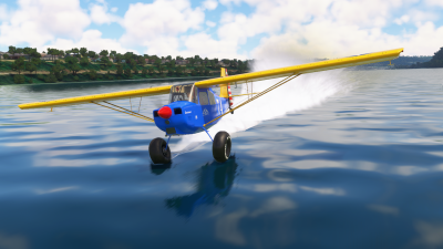 American Champion Scout (8GCBC) screenshot