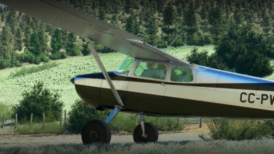 Carenado C170B - Microsoft Flight Simulator screenshot