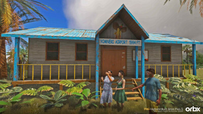 PNG Highland Bush Strips Pack 5 - Microsoft Flight Simulator 2024 screenshot