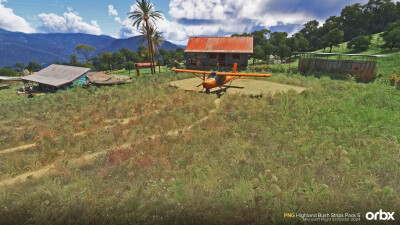 PNG Highland Bush Strips Pack 5 - Microsoft Flight Simulator 2024 screenshot