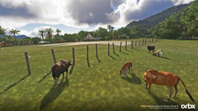 PNG Highland Bush Strips Pack 5 - Microsoft Flight Simulator 2024 screenshot