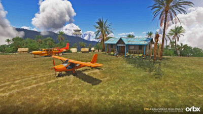 PNG Highland Bush Strips Pack 5 - Microsoft Flight Simulator 2024 screenshot