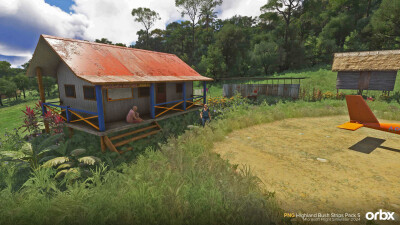 PNG Highland Bush Strips Pack 5 - Microsoft Flight Simulator 2024 screenshot