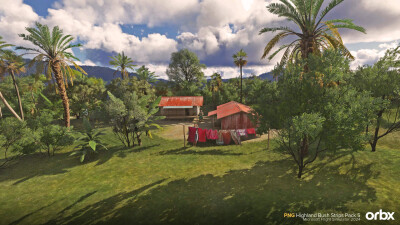 PNG Highland Bush Strips Pack 5 - Microsoft Flight Simulator 2024 screenshot