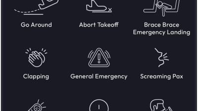 Mango Studios FSExperience screenshot