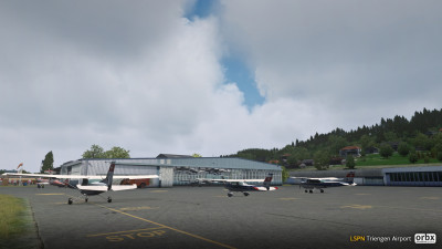LSPN Triengen Airport screenshot