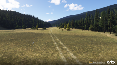 41CA Silver Creek Ranch - Microsoft Flight Simulator 2024 screenshot
