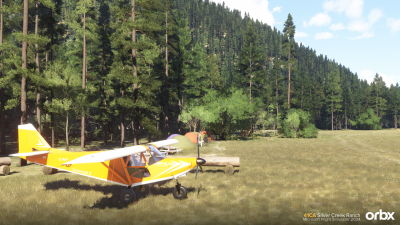 41CA Silver Creek Ranch - Microsoft Flight Simulator 2024 screenshot
