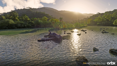 PNG Highland Bush Strips Pack 6 - Microsoft Flight Simulator 2024 screenshot