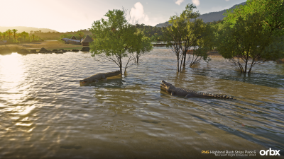 PNG Highland Bush Strips Pack 6 - Microsoft Flight Simulator 2024 screenshot
