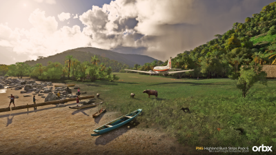 PNG Highland Bush Strips Pack 6 - Microsoft Flight Simulator 2024 screenshot