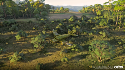 PNG Highland Bush Strips Pack 6 - Microsoft Flight Simulator 2024 screenshot
