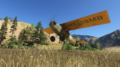 Emerald Pietenpol Air Camper - Microsoft Flight Simulator 2024 screenshot
