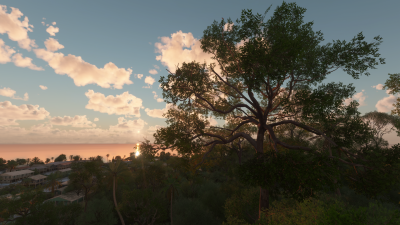 Burning Blue Design Enhanced Global Vegetation - Microsoft Flight Simulator 2024 screenshot